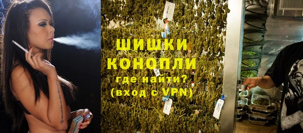 ПСИЛОЦИБИНОВЫЕ ГРИБЫ Бородино