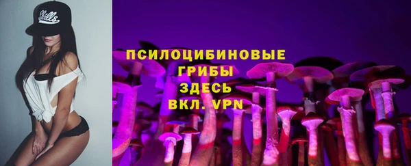ПСИЛОЦИБИНОВЫЕ ГРИБЫ Бородино