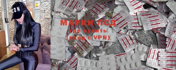 ПСИЛОЦИБИНОВЫЕ ГРИБЫ Бородино