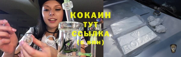 гашик Бронницы