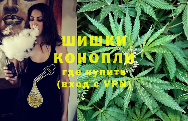 гашик Бронницы