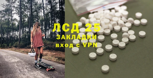 ПСИЛОЦИБИНОВЫЕ ГРИБЫ Бородино