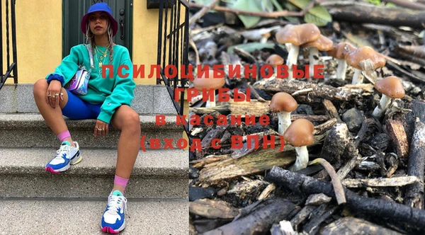 мяу мяу мука Бугульма