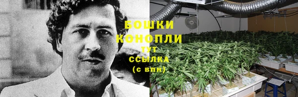 гашик Бронницы