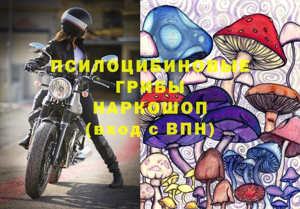 мяу мяу мука Бугульма
